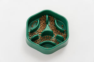 PIDAN "Forest" Slow Feed Dog Bowl