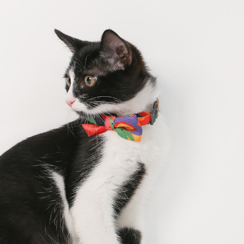 PIDAN - Cat Bow Tie Collar