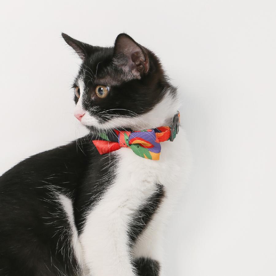 PIDAN Bow Tie Collar – Cat