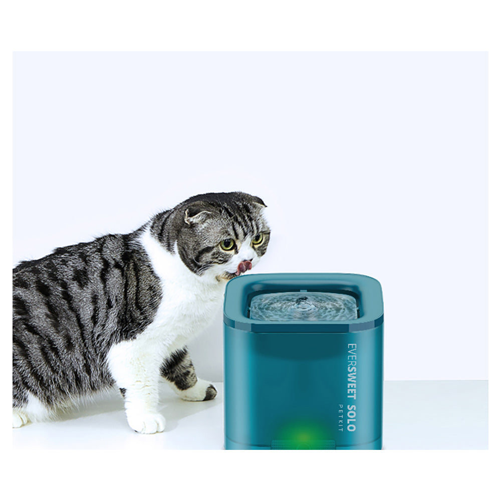 PETKIT Smart Pet Water Fountain - EverSweet Solo